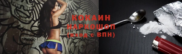 стафф Аркадак