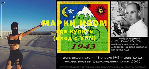 стафф Аркадак